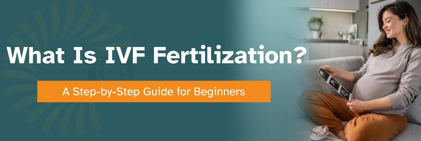 What Is IVF Fertilization? A Step-by-Step Guide for Beginners