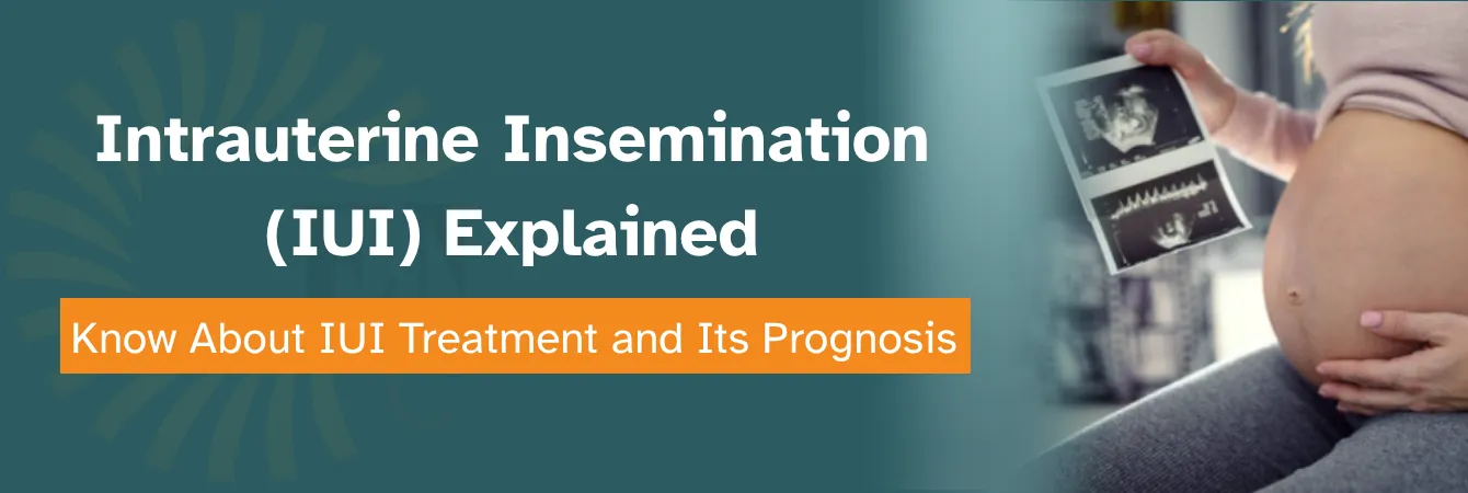 Intrauterine Insemination (IUI)