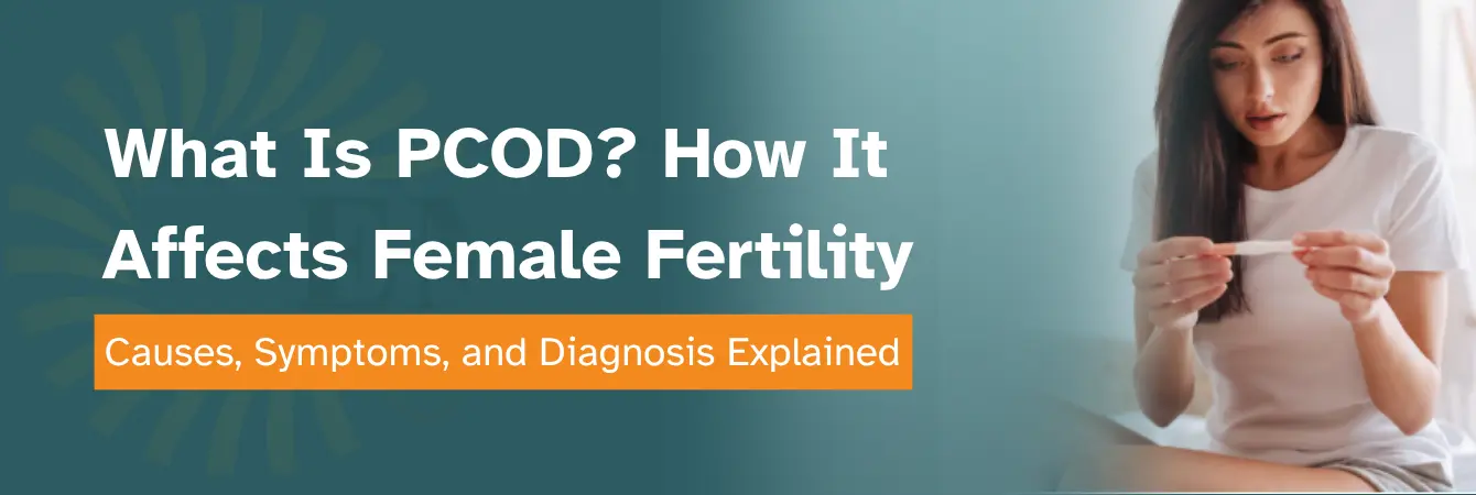 What Is PCOD? How It Affects Female Fertility